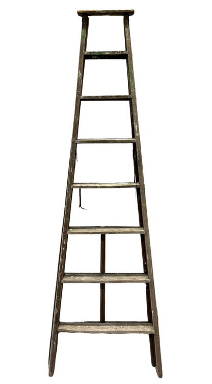 Antique Ladder